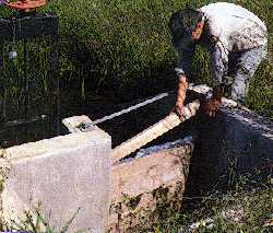 Water control structure at Redhead Marsh.