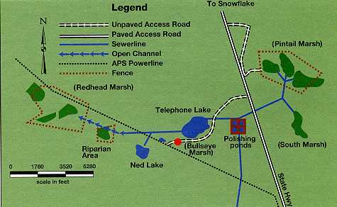 Area Map of Pintail Lake Facilities