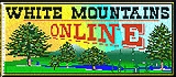 White Mountains Online