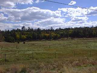 Show Low Meadow